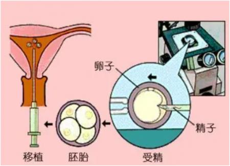 四个月第三代助孕妇与宝宝宝玩什么